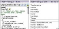 Local Dictionaries in ABBYY Lingvo x5: Constructor for Translators and More