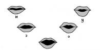 Vokaaliäänien luokittelu Vokaaliäänet huulten osallistumisen mukaan ovat
