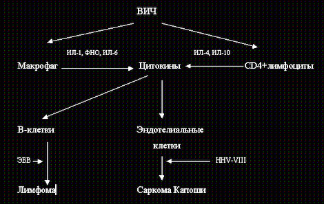 Схема патогенеза вич